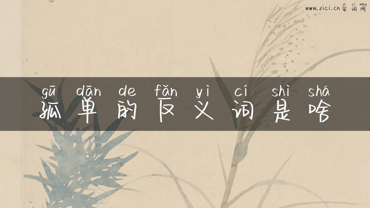 孤单的反义词是啥