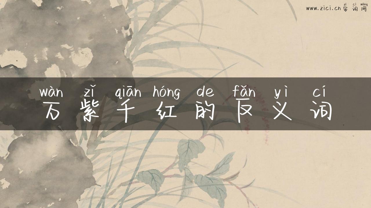 万紫千红的反义词