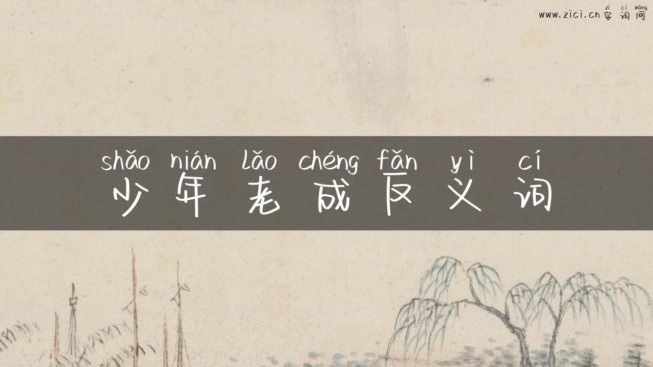 少年老成反义词