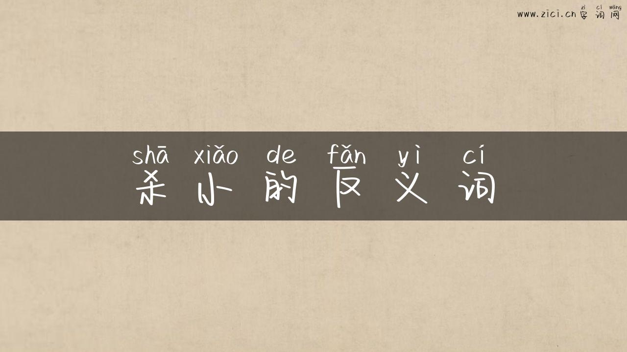 杀小的反义词