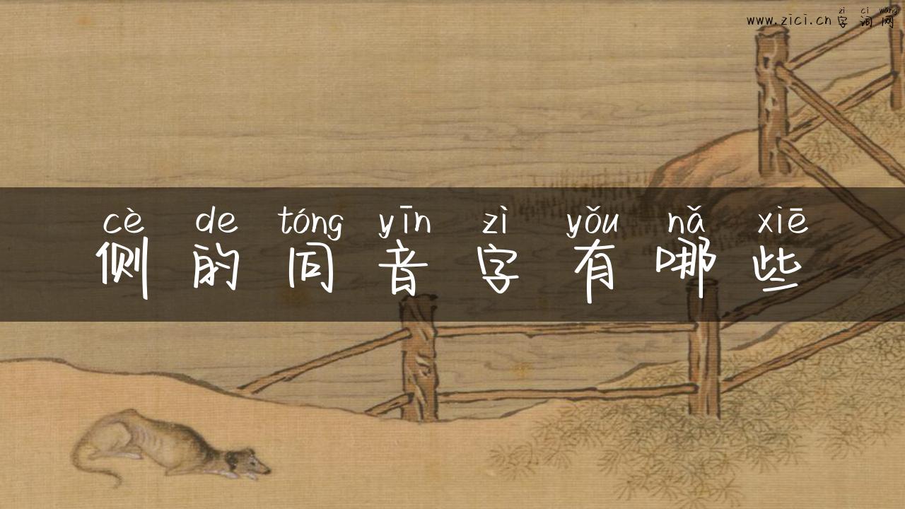 侧的同音字有哪些