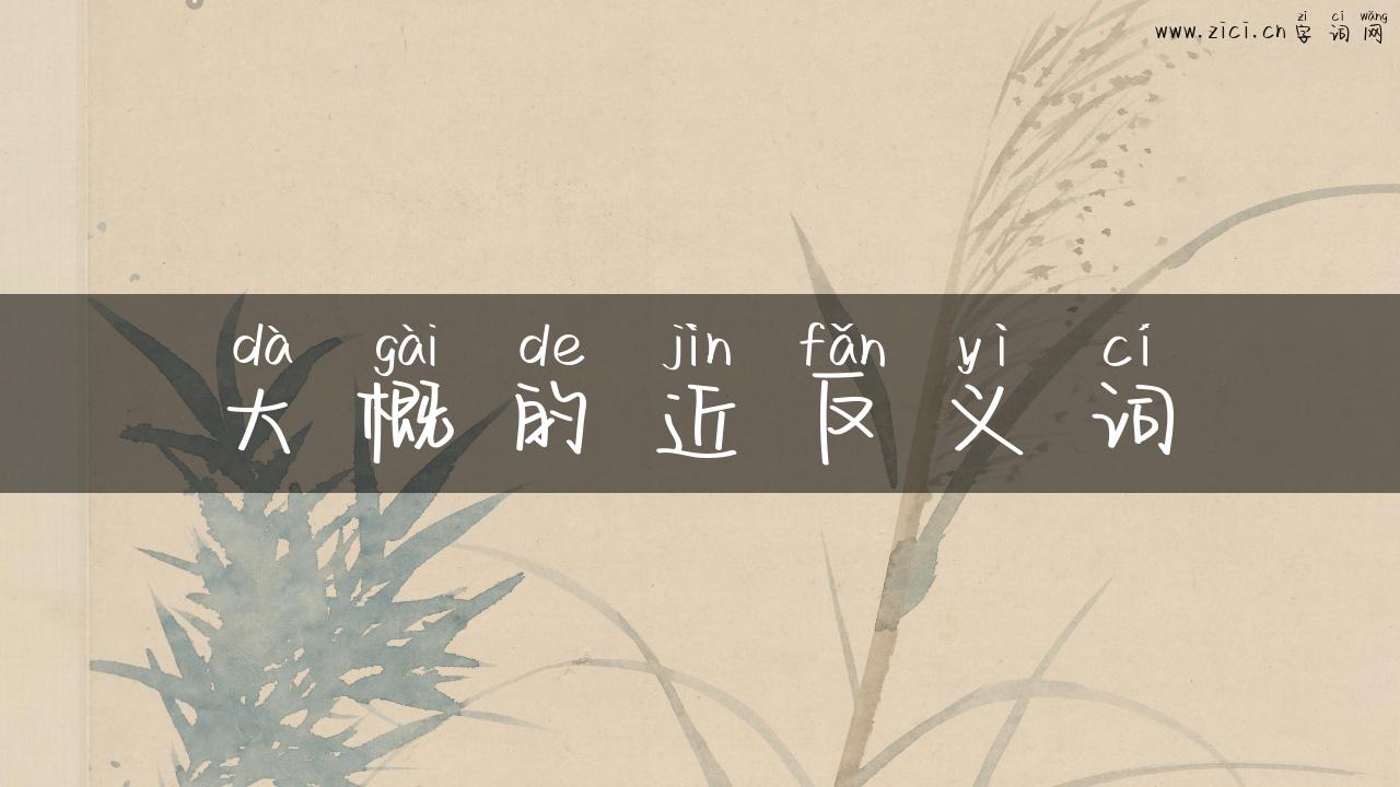 大概的近反义词