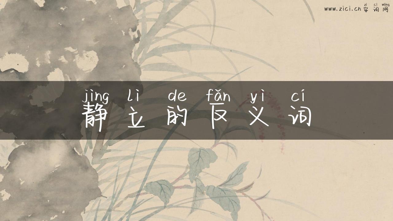 静立的反义词