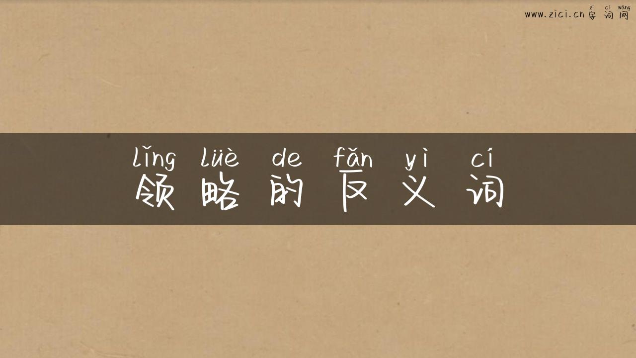 领略的反义词