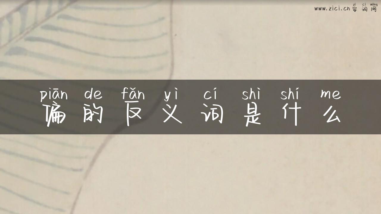 偏的反义词是什么