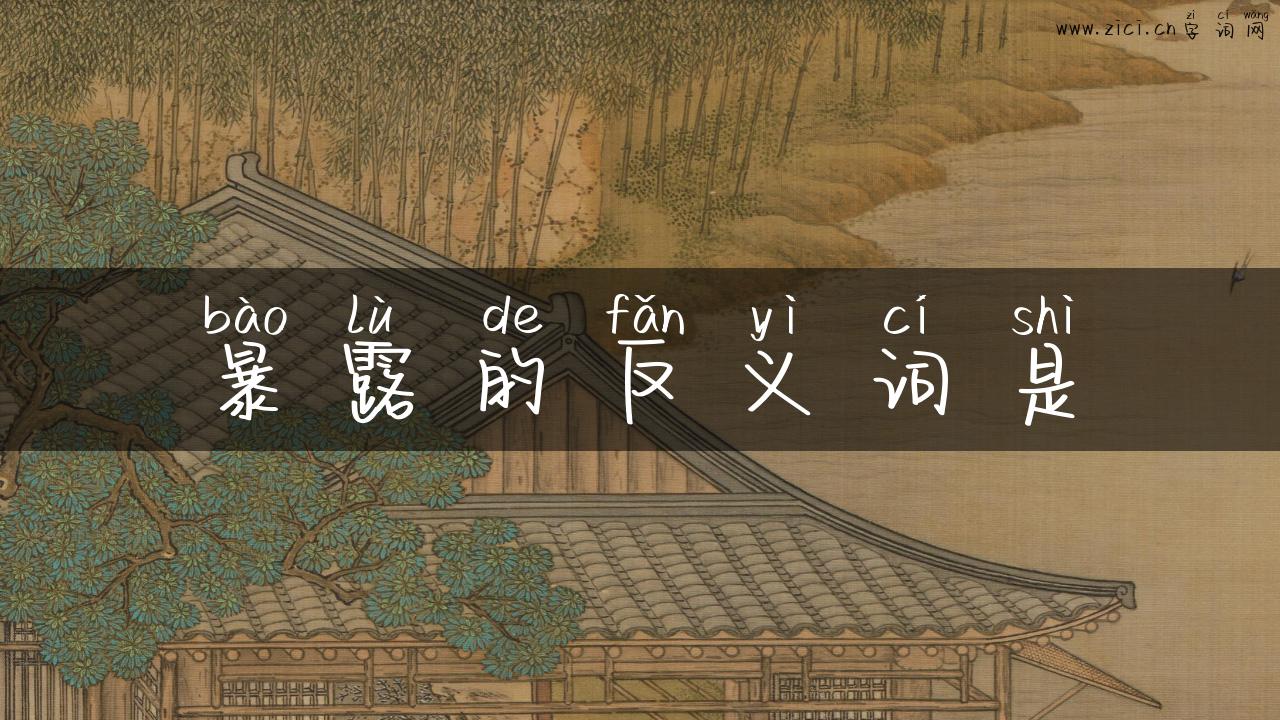 暴露的反义词是