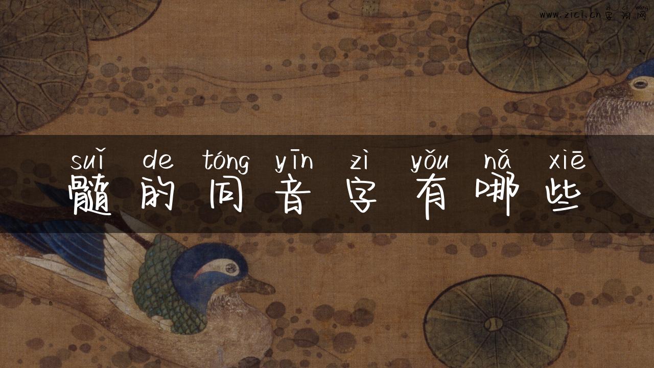 髓的同音字有哪些