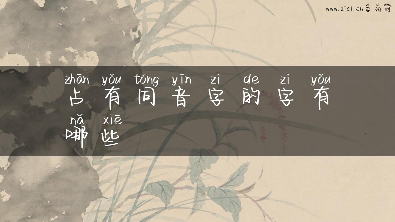 占有同音字的字有哪些