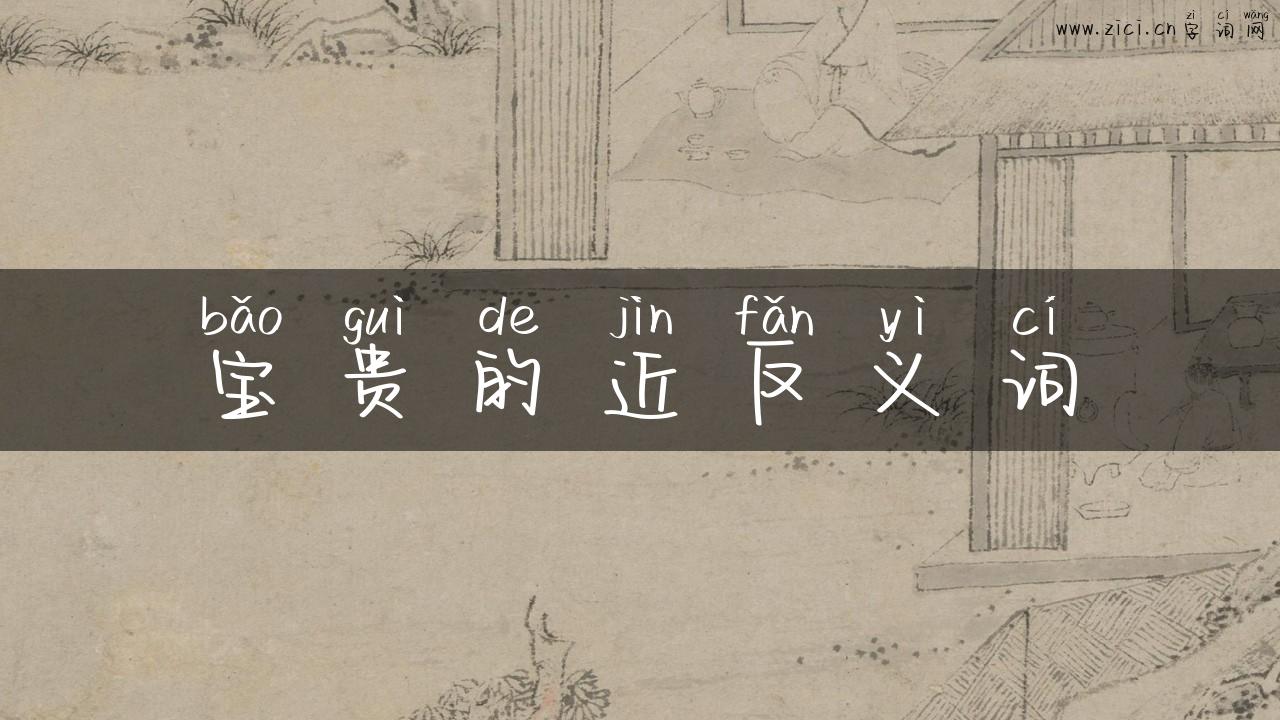 宝贵的近反义词