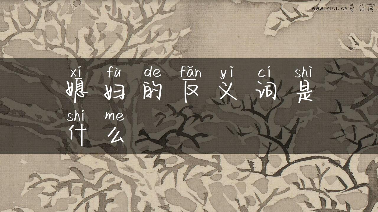 媳妇的反义词是什么