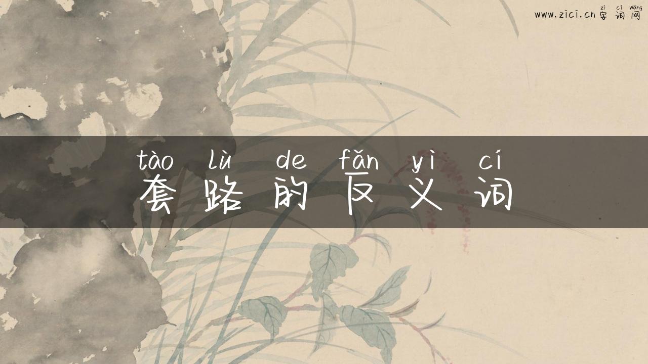 套路的反义词