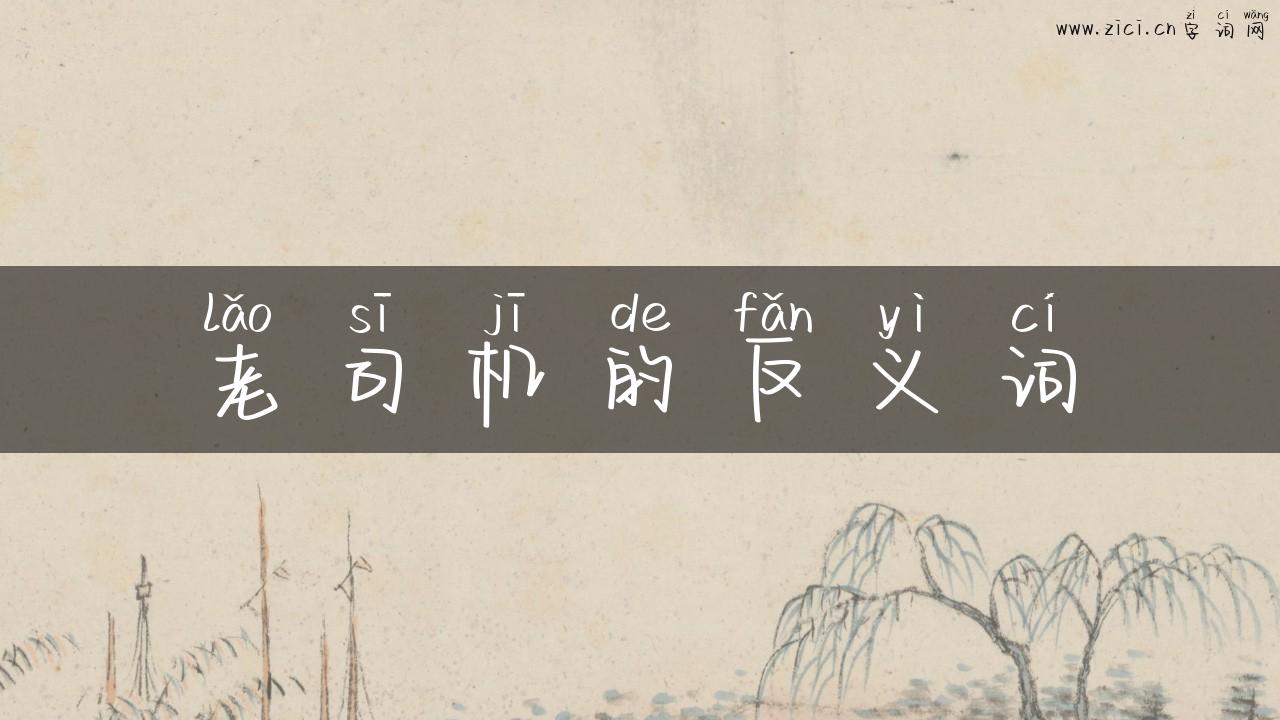 老司机的反义词
