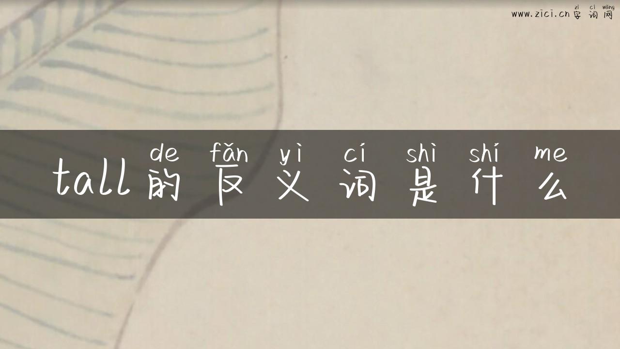 tall的反义词是什么