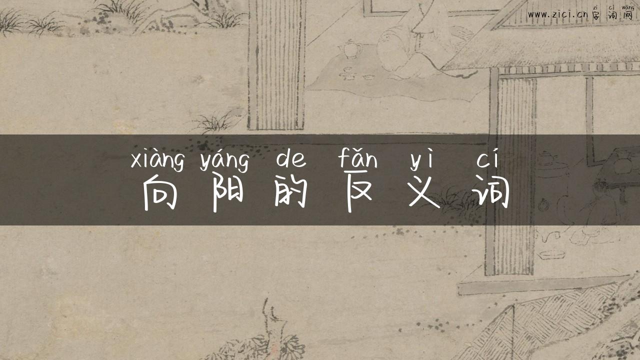 向阳的反义词