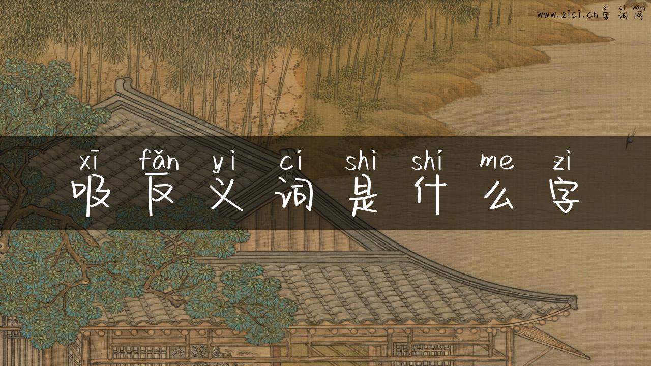吸反义词是什么字