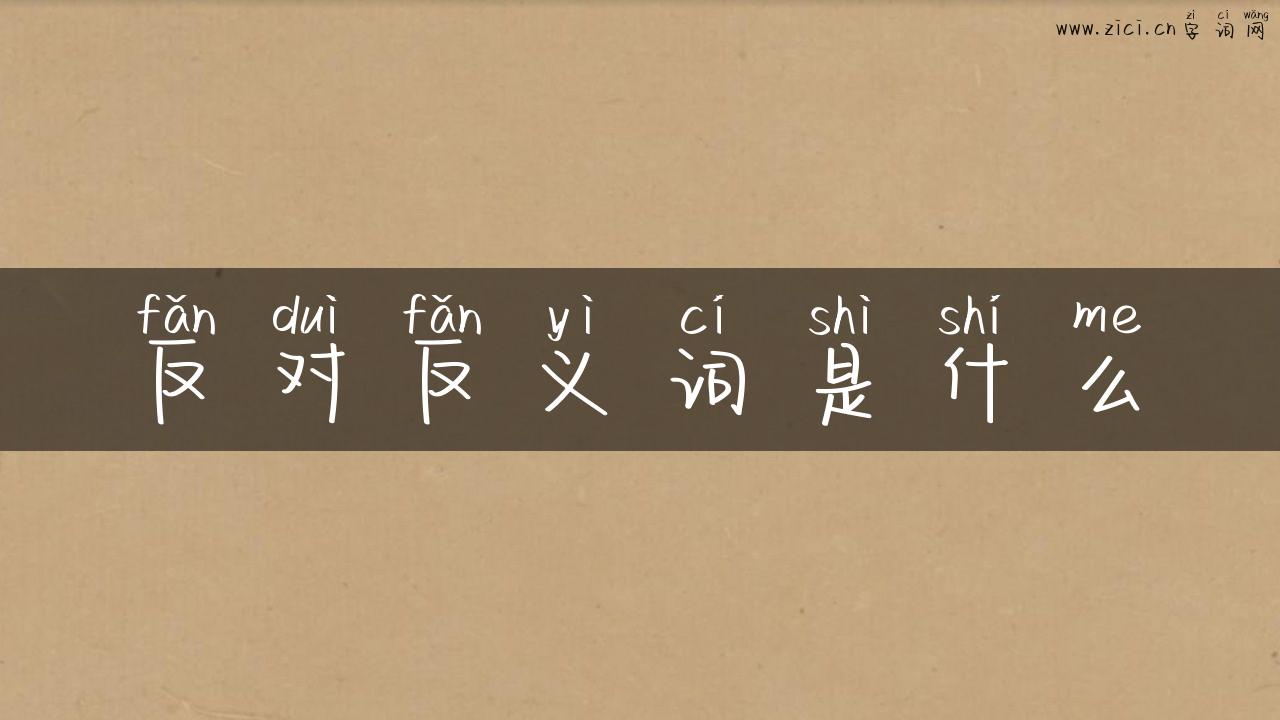 反对反义词是什么