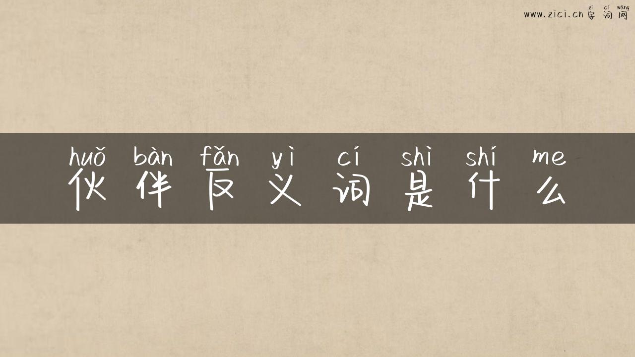 伙伴反义词是什么