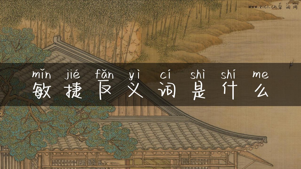 敏捷反义词是什么
