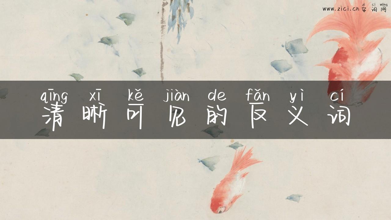 清晰可见的反义词
