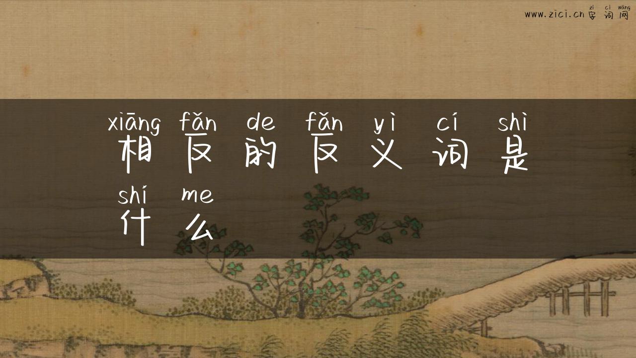 相反的反义词是什么