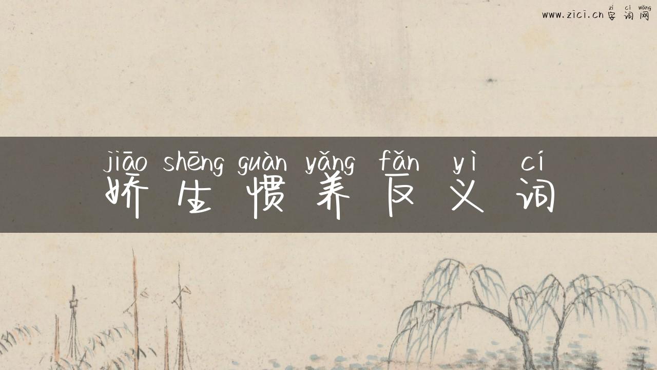 娇生惯养反义词