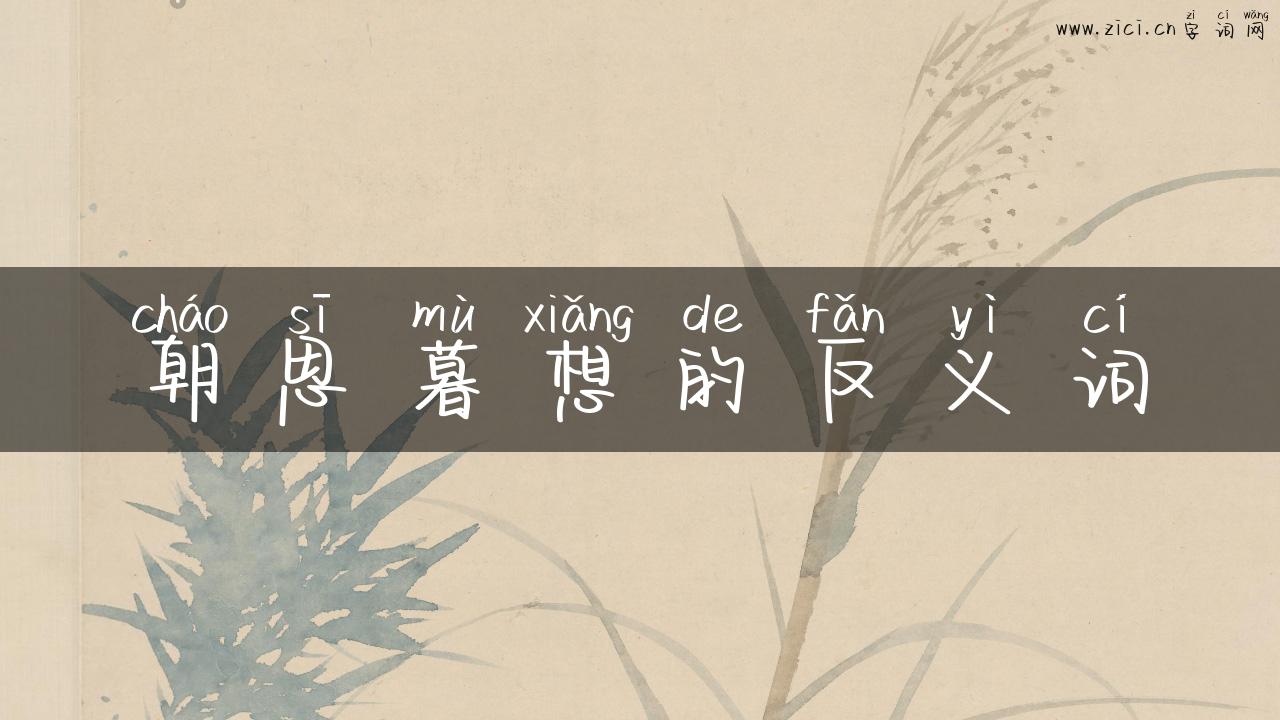 朝思暮想的反义词