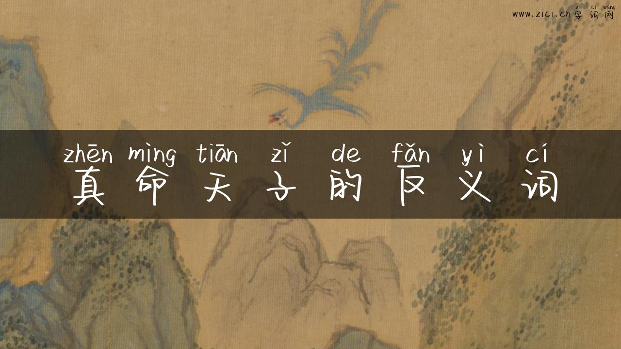 真命天子的反义词
