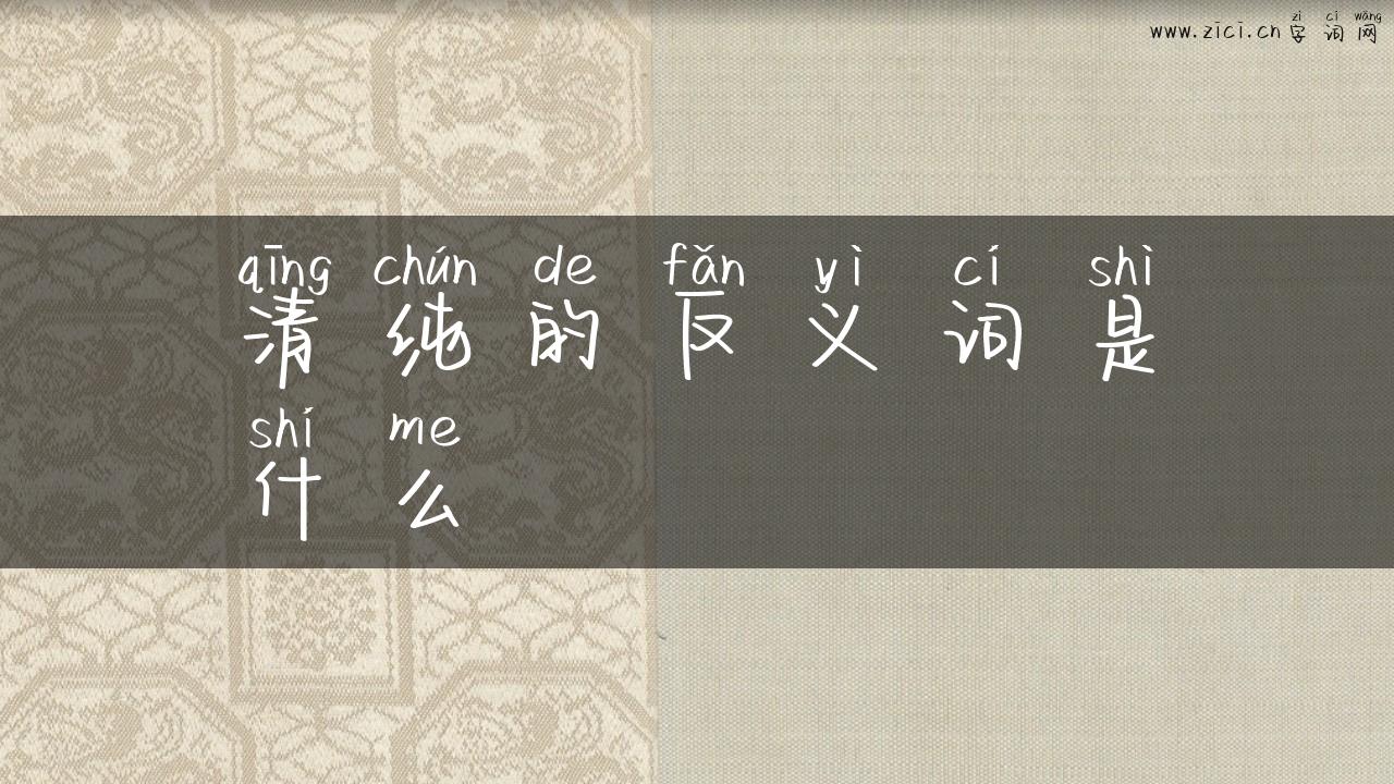 清纯的反义词是什么