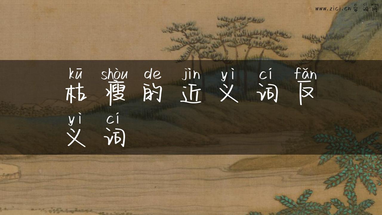 枯瘦的近义词反义词