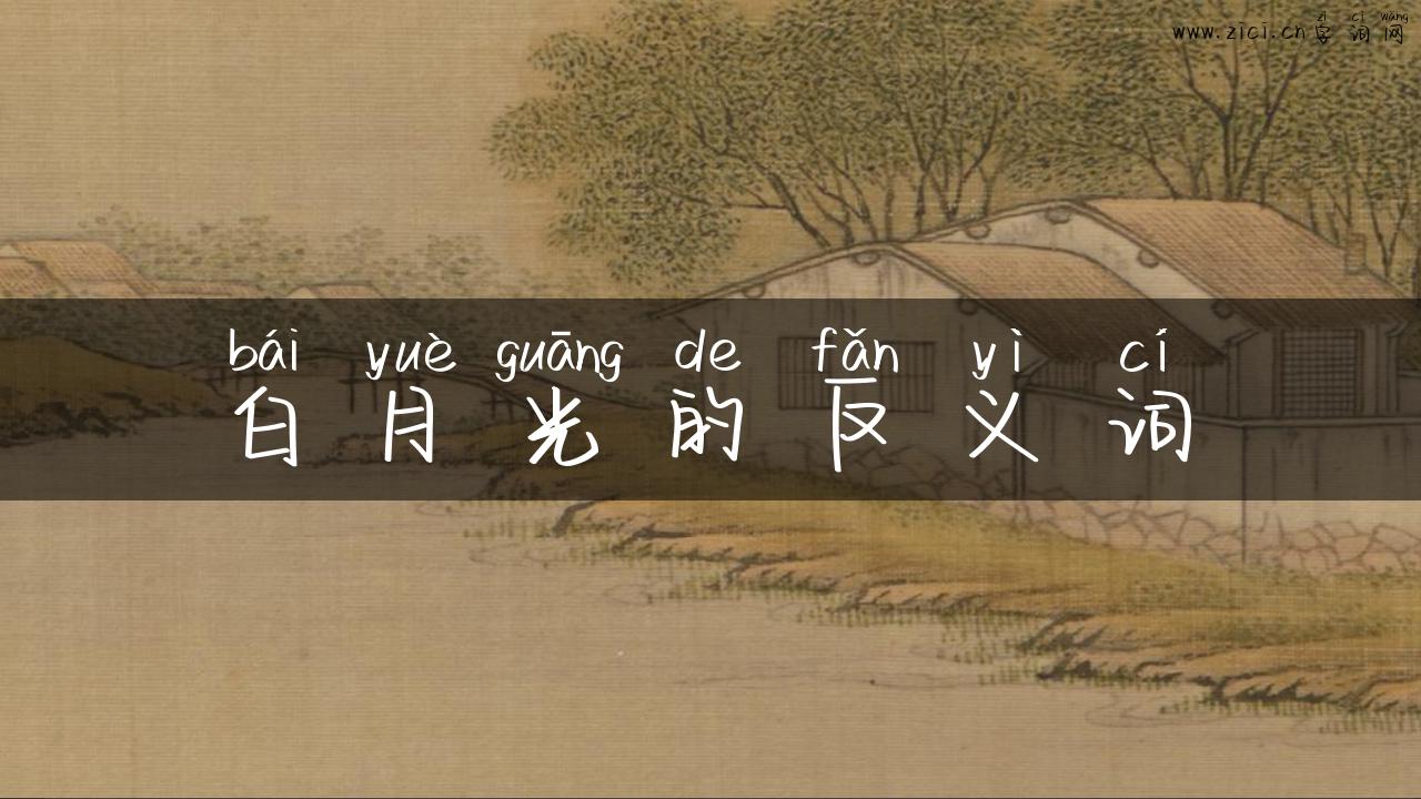 白月光的反义词