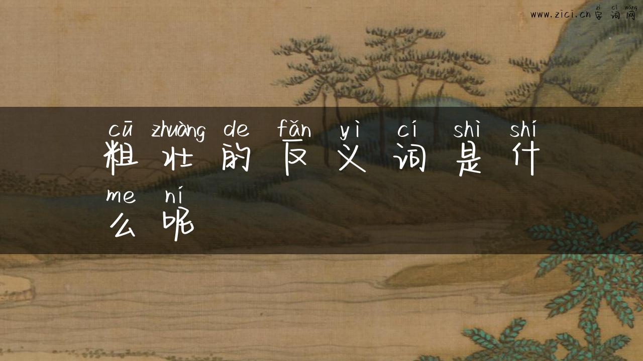 粗壮的反义词是什么呢