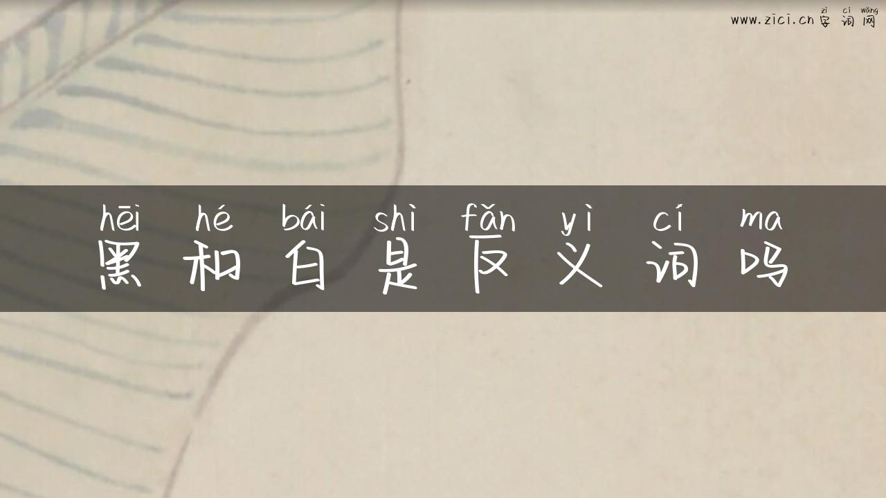 黑和白是反义词吗