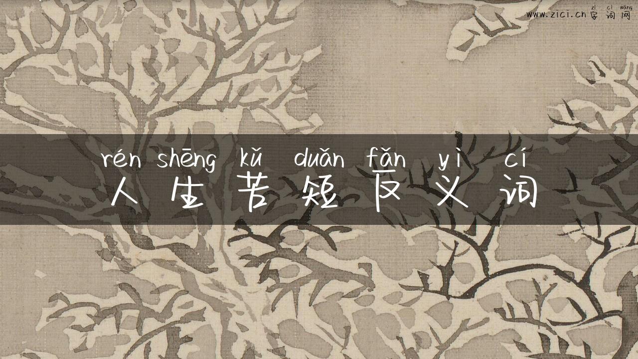 人生苦短反义词