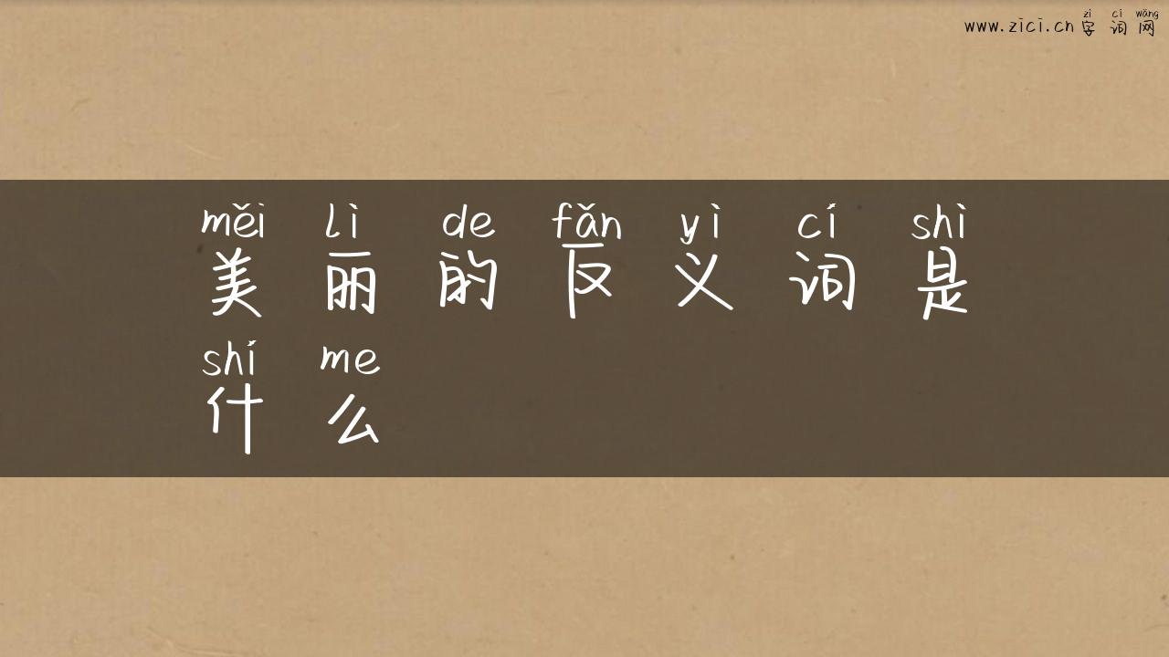 美丽的反义词是什么