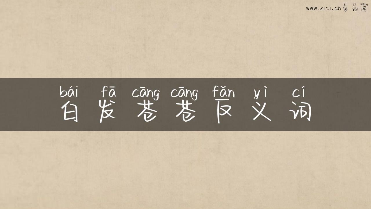 白发苍苍反义词