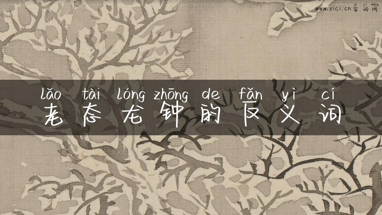 老态龙钟的反义词