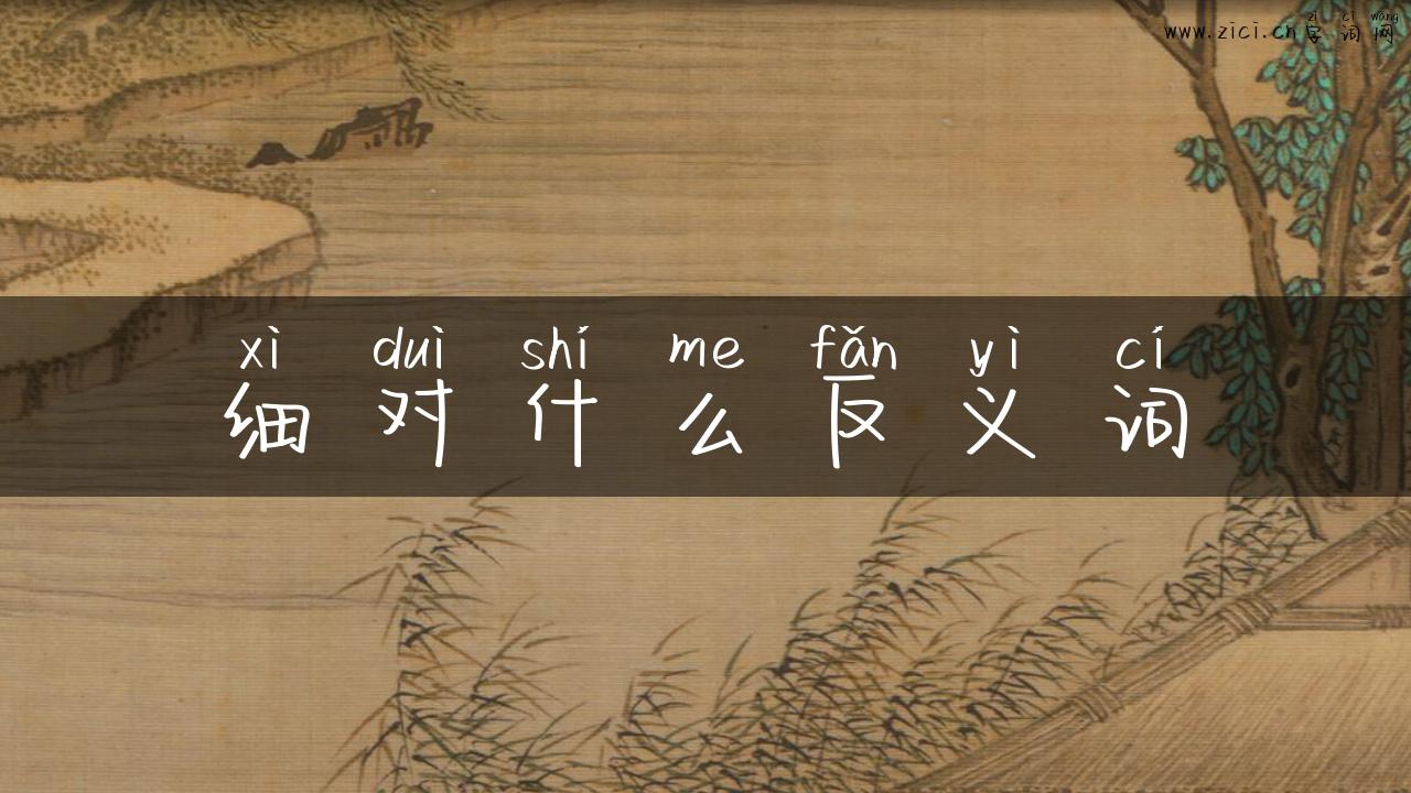 细对什么反义词