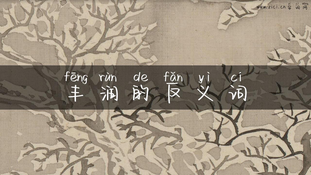丰润的反义词