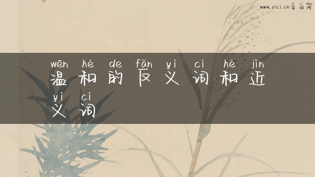 温和的反义词和近义词