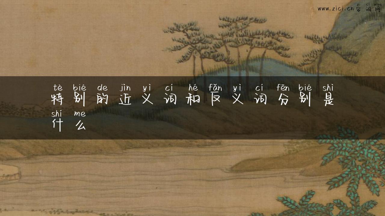 特别的近义词和反义词分别是什么