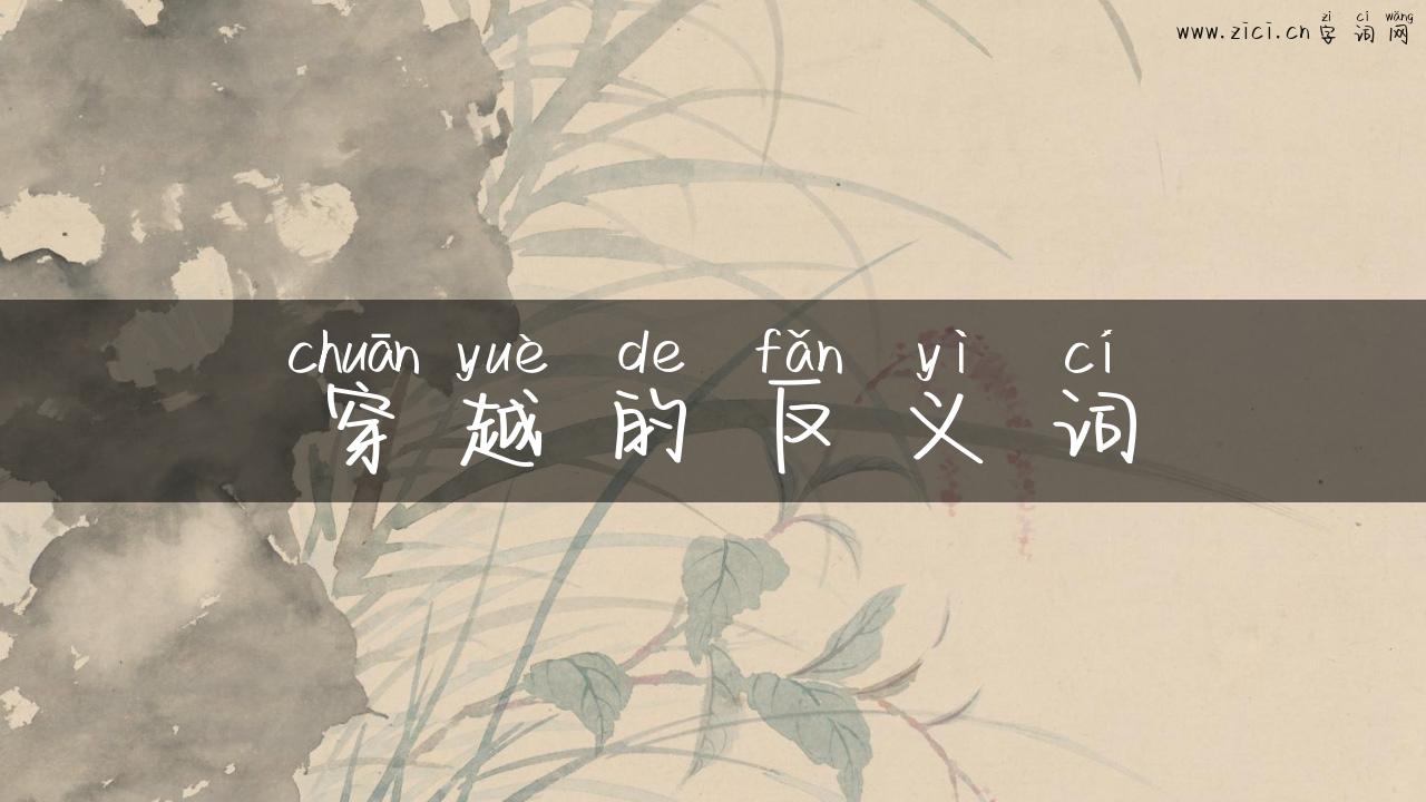 穿越的反义词