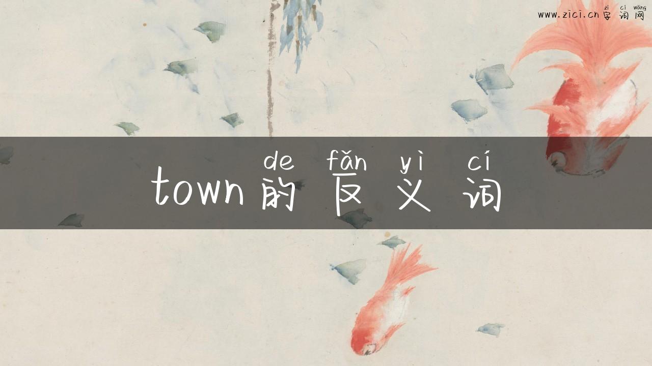 town的反义词