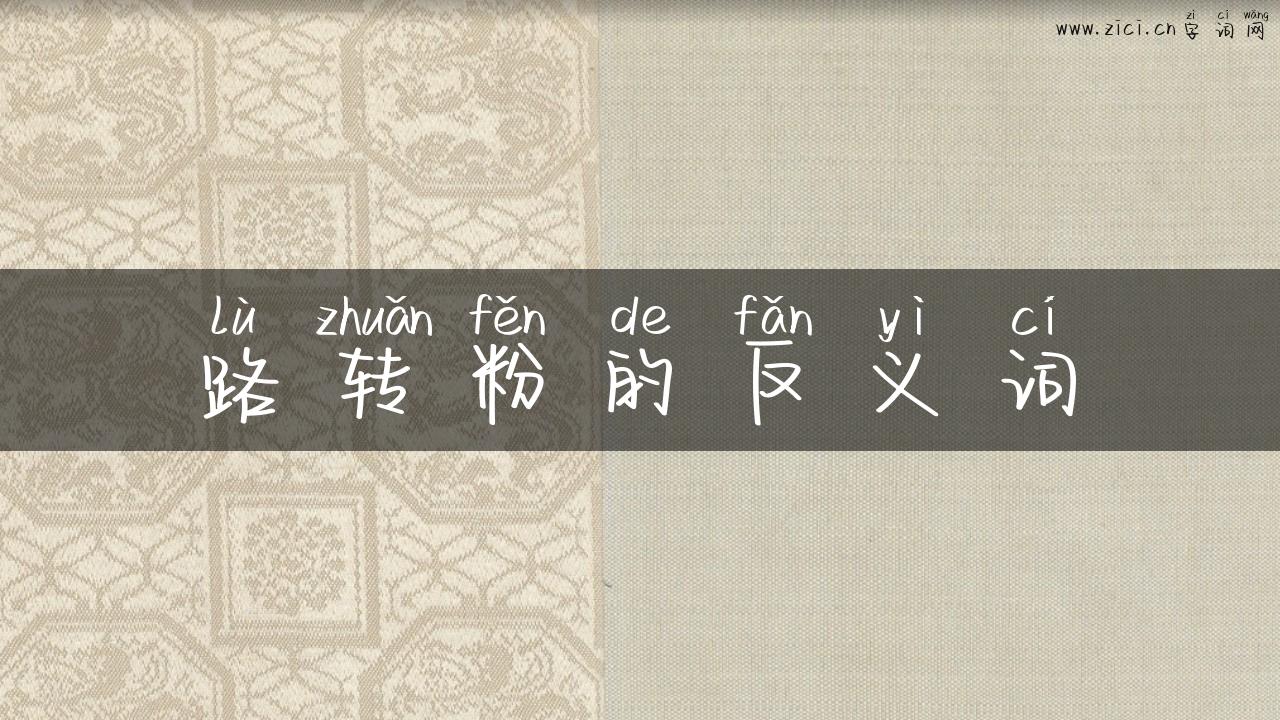 路转粉的反义词