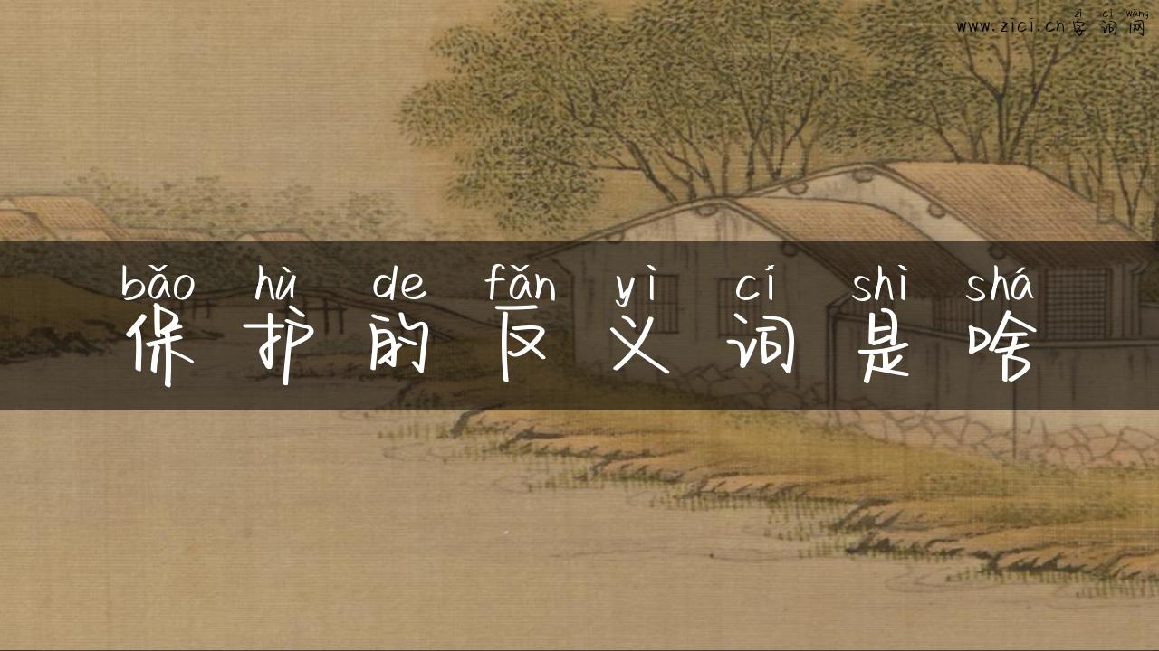 保护的反义词是啥