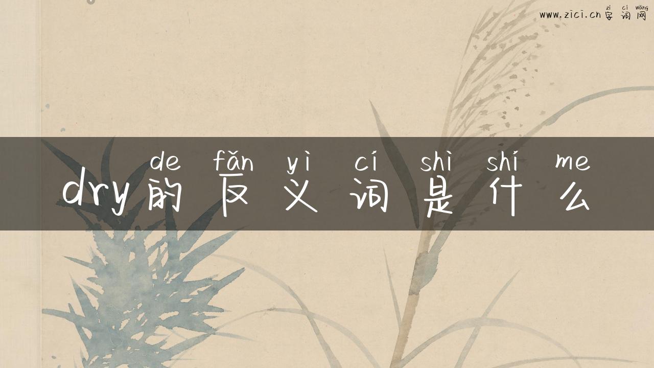 dry的反义词是什么