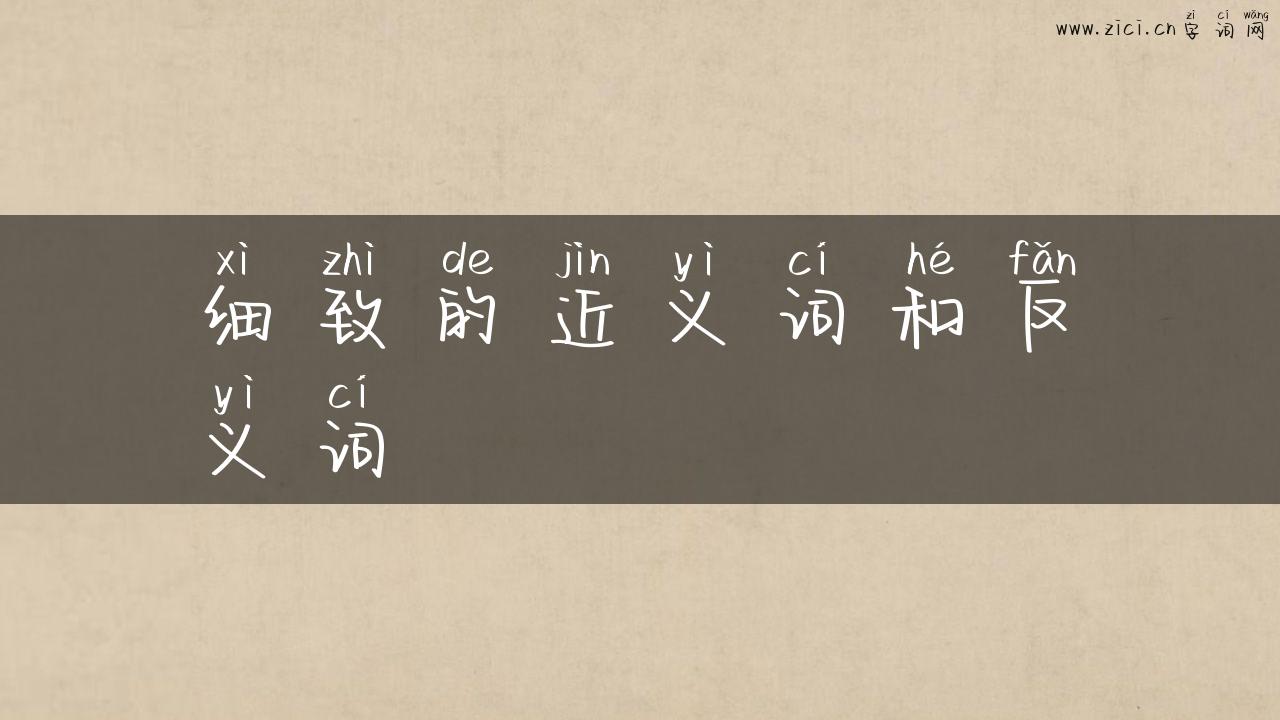 细致的近义词和反义词