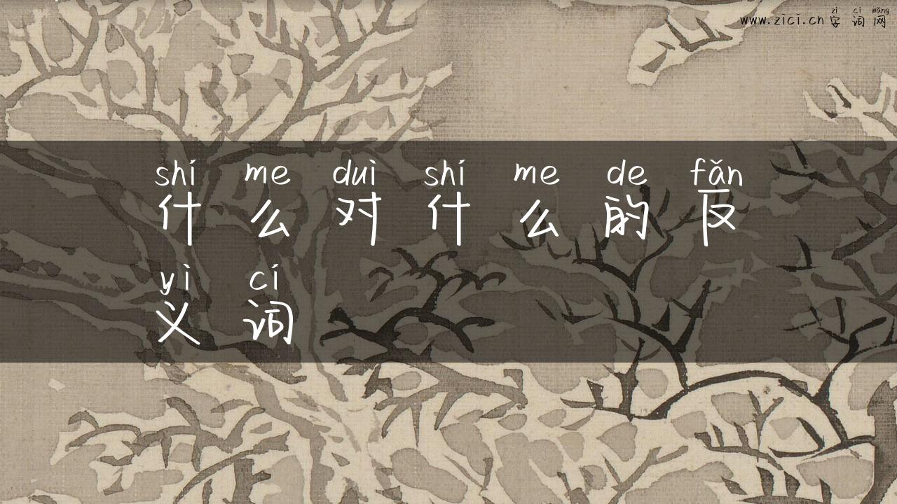 什么对什么的反义词