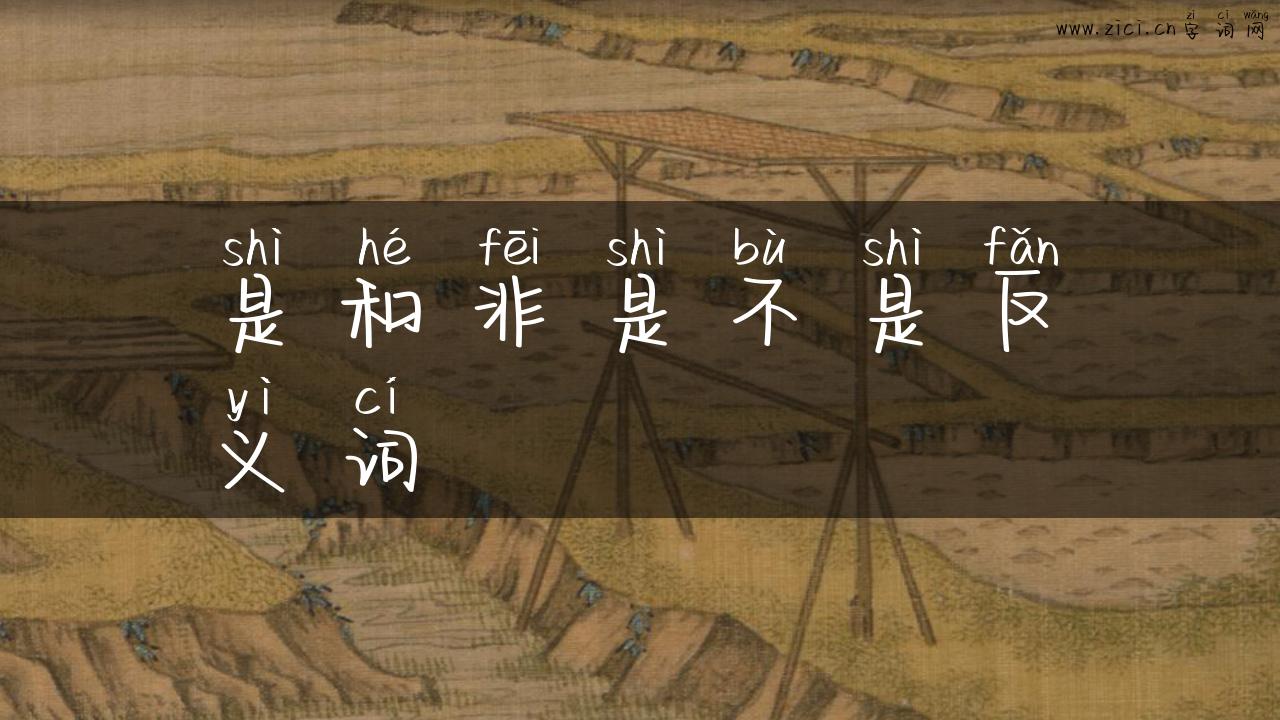 是和非是不是反义词