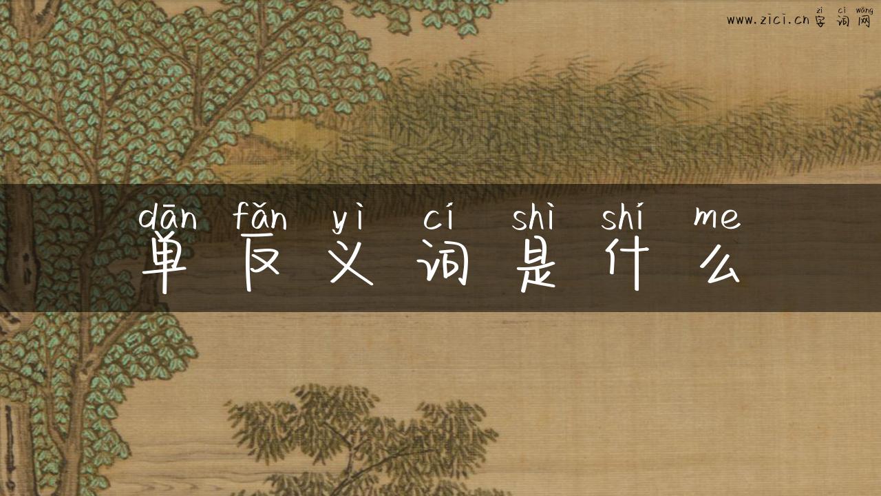 单反义词是什么