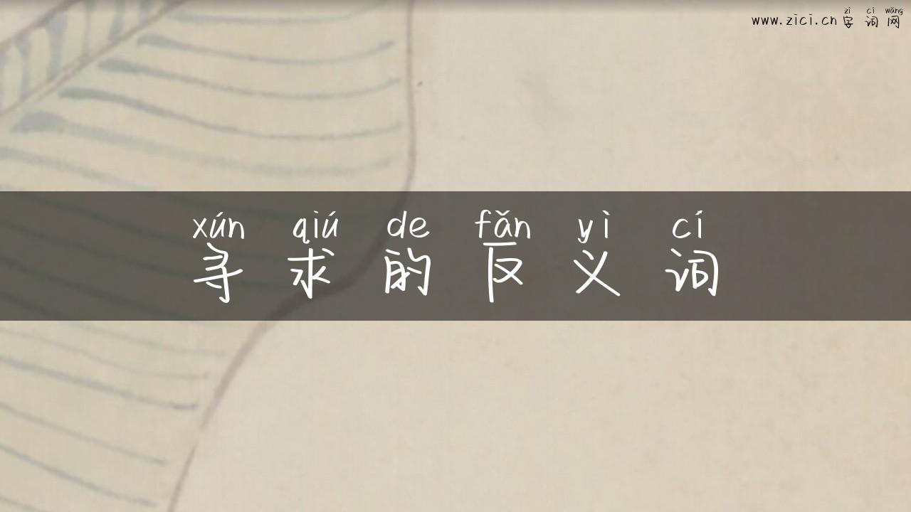 寻求的反义词